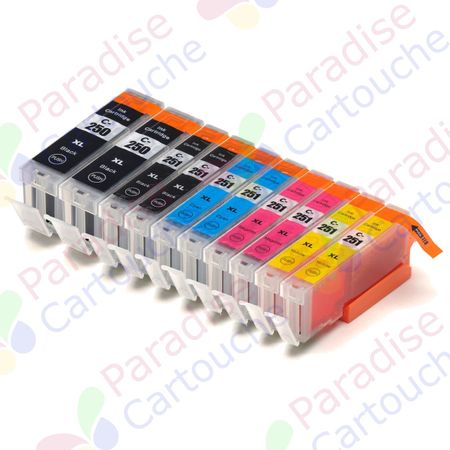 Canon PGI-550XL & CLI-551XL ensemble de 10 cartouches d'encre compatibles haute capacité (Paradise Cartouche)