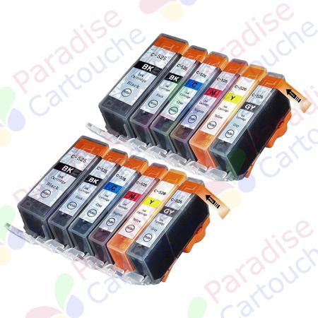 Canon PGI-520 & CLI-521 ensemble de 12 cartouches d'encre compatibles (Paradise Cartouche)